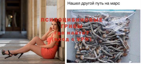 MDMA Premium VHQ Верхний Тагил