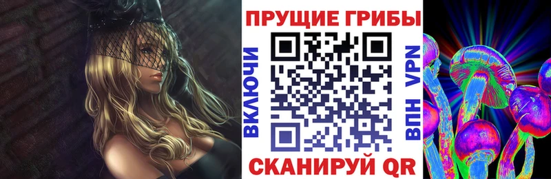 магазин    Ува  Галлюциногенные грибы Psilocybe 
